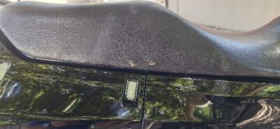 KAWASAKI 1000 Tomcat