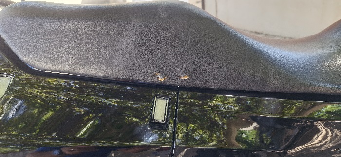 KAWASAKI 1000 Tomcat