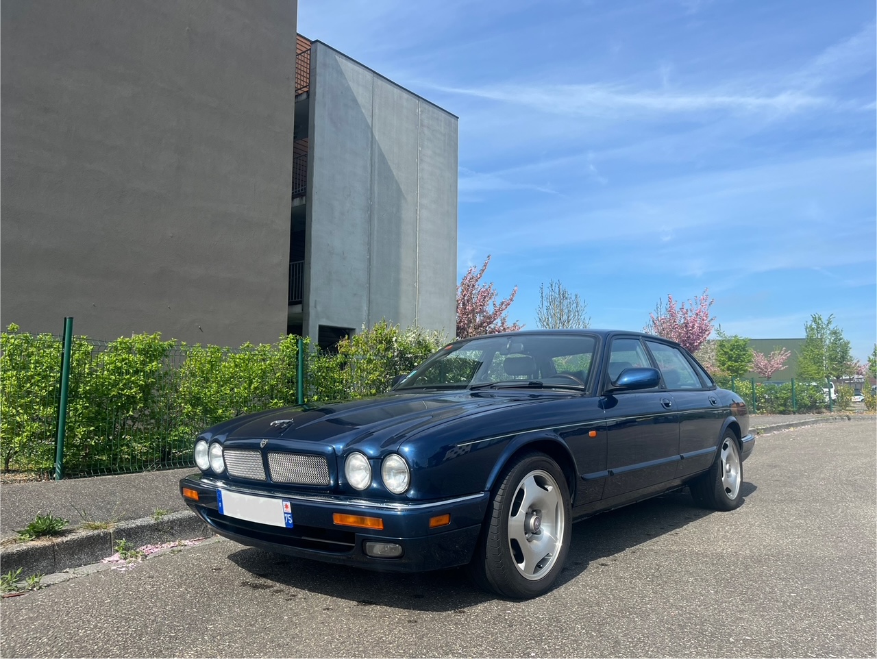 Jaguar XJR