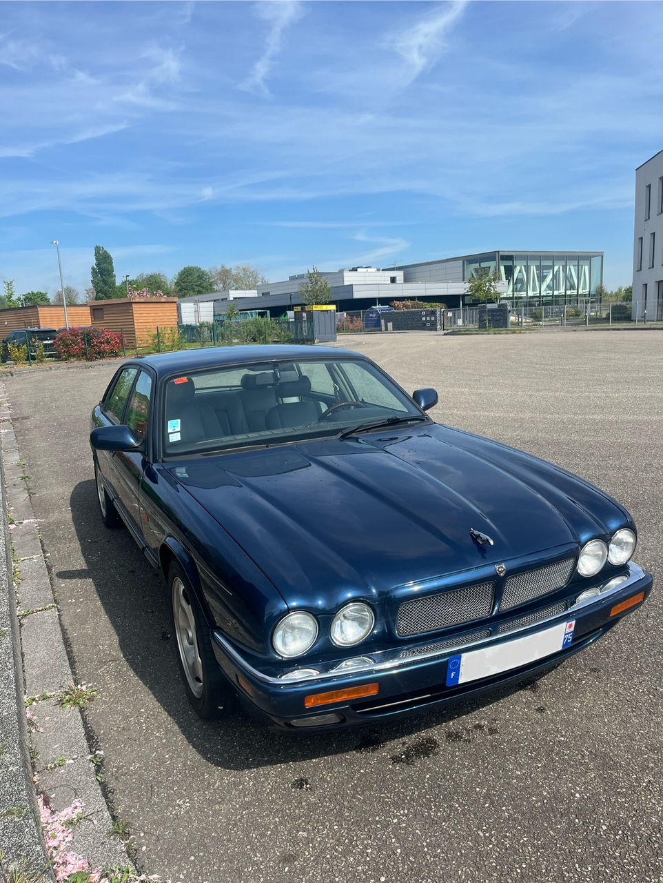 Jaguar XJR