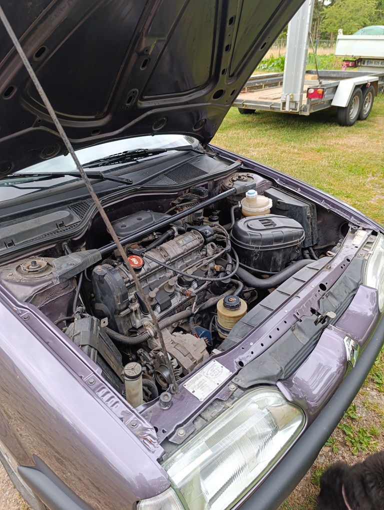 Renault 19 II